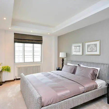 Oud Zuid Luxury